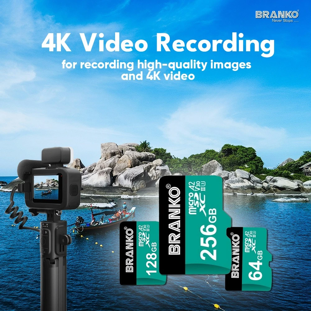 Micro SD Card A2 – 256 GB